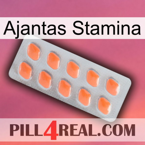 Ajantas Stamina 26.jpg